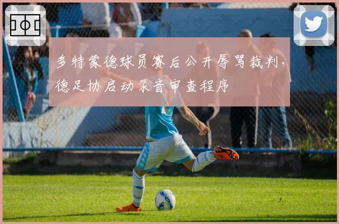 多特蒙德球员赛后公开辱骂裁判,德足协启动录音审查程序