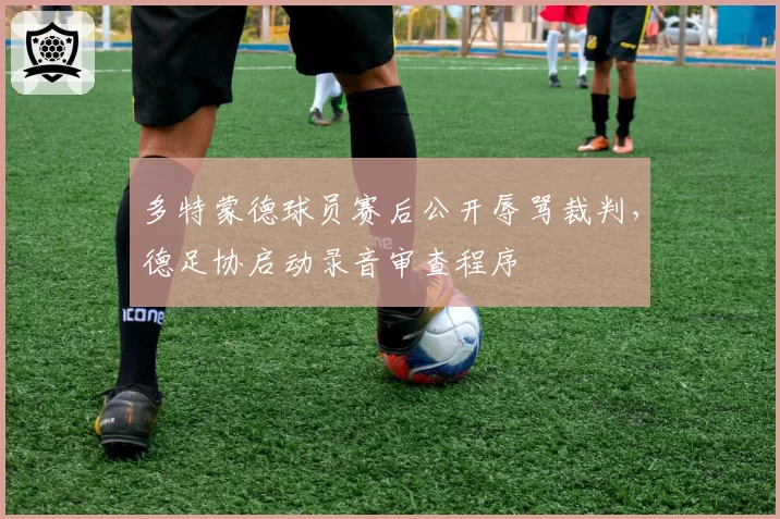 多特蒙德球员赛后公开辱骂裁判,德足协启动录音审查程序